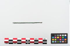 Foto von Bronzeohrlöffel (NHMW-PRAE-024109)
